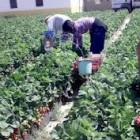 Românii se folosesc de imaginaţie pentru a ieşi din criză