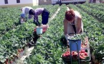 Românii se folosesc de imaginaţie pentru a ieşi din criză
